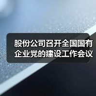 股份公司召开全国国有企业党的建设工作会议精神贯彻落实情况“回头看”暨习近平总书记全国国有企业党的建设工作会议重要讲话发表五周年学习座谈会（图4）