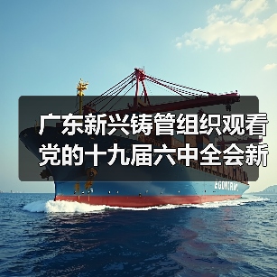 广东新兴铸管组织观看党的十九届六中全会新闻发布会实况（图2）