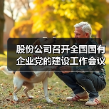 股份公司召开全国国有企业党的建设工作会议精神贯彻落实情况“回头看”暨习近平总书记全国国有企业党的建设工作会议重要讲话发表五周年学习座谈会（图3）