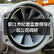 阳江市纪委监委领导莅临公司调研（图3）
