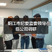 阳江市纪委监委领导莅临公司调研