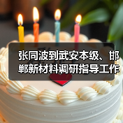 张同波到武安本级、邯郸新材料调研指导工作（图2）