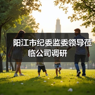 阳江市纪委监委领导莅临公司调研（图2）