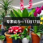 专家说市—11月17日(图1) 专家说市—11月17日(图1)