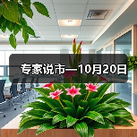 专家说市—10月20日(图4) 专家说市—10月20日(图4)