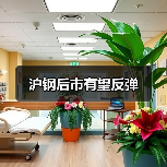 沪钢后市有望反弹（图2）