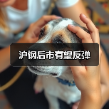沪钢后市有望反弹（图4）