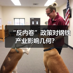 “反内卷”政策对钢铁产业影响几何?(图2) “反内卷”政策对钢铁产业影响几何?(图2)
