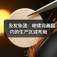 友发集团：继续完善国内的生产区域布局（图3）