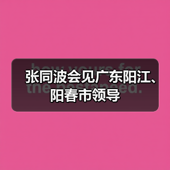 张同波会见广东阳江、阳春市领导