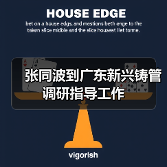 张同波到广东新兴铸管调研指导工作（图2）