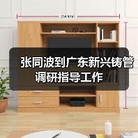 张同波到广东新兴铸管调研指导工作（图4）