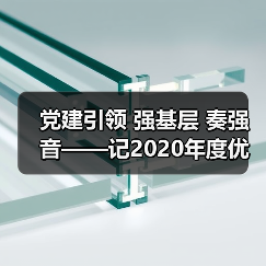 党建引领 强基层 奏强音——记2020年度优秀基层党支部