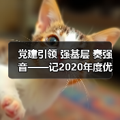 党建引领 强基层 奏强音——记2020年度优秀基层党支部(图4) 党建引领 强基层 奏强音——记2020年度优秀基层党支部(图4)