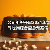 公司组织开展2021年煤气泄漏综合应急预案演练(图2) 公司组织开展2021年煤气泄漏综合应急预案演练(图2)