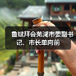鲁斌拜会芜湖市委副书记、市长单向前(图2) 鲁斌拜会芜湖市委副书记、市长单向前(图2)
