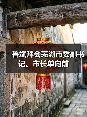 鲁斌拜会芜湖市委副书记、市长单向前(图4) 鲁斌拜会芜湖市委副书记、市长单向前(图4)
