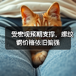 受宏观预期支撑，螺纹钢价格依旧偏强（图3）