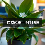 专家说市—9月15日（图2）