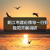 阳江市政府领导一行到我司开展调研（图2）