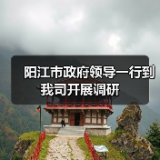 阳江市政府领导一行到我司开展调研（图4）