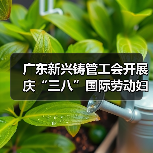 广东新兴铸管工会开展庆“三八”国际劳动妇女节系列活动（图3）