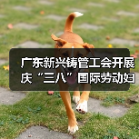 广东新兴铸管工会开展庆“三八”国际劳动妇女节系列活动（图4）