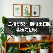 兰格研究：钢材出口回落压力初现（图3）