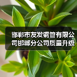 邯郸市友发钢管有限公司邯郸分公司质量升级技改项目 环境影响评价报批前公示（图3）