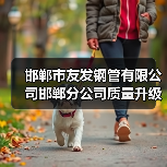 邯郸市友发钢管有限公司邯郸分公司质量升级技改项目 环境影响评价报批前公示（图4）