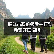 阳江市政府领导一行到我司开展调研