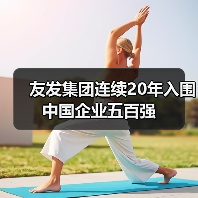 友发集团连续20年入围中国企业五百强