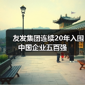 友发集团连续20年入围中国企业五百强（图4）