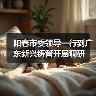 阳春市委领导一行到广东新兴铸管开展调研（图3）