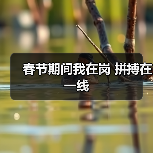 春节期间我在岗 拼搏在一线