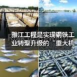 雅江工程是实现钢铁工业转型升级的“重大机遇”(图2) 雅江工程是实现钢铁工业转型升级的“重大机遇”(图2)