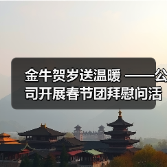 金牛贺岁送温暖 ——公司开展春节团拜慰问活动（图2）