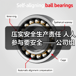 压实安全生产责任 人人参与要安全——公司组织召开一月份临时安委会