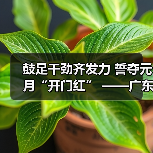 鼓足干劲齐发力 誓夺元月“开门红” ——广东新兴铸管开启“稳定高产模式”