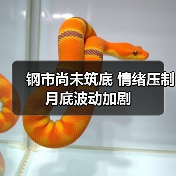 钢市尚未筑底 情绪压制月底波动加剧（图2）
