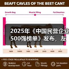 2025年《中国民营企业500强榜单》发布，友发集团位列224名
