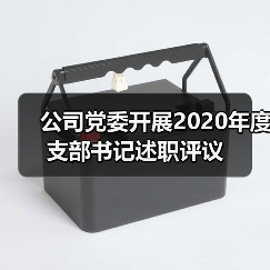 公司党委开展2020年度支部书记述职评议（图3）