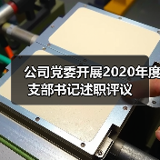 公司党委开展2020年度支部书记述职评议（图4）