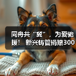 同舟共“冀”,为爱驰援! 新兴铸管捐赠300多万物资助力河北疫情防控(图3) 同舟共“冀”,为爱驰援! 新兴铸管捐赠300多万物资助力河北疫情防控(图3)