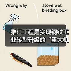 雅江工程是实现钢铁工业转型升级的“重大机遇”(图1) 雅江工程是实现钢铁工业转型升级的“重大机遇”(图1)