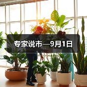 专家说市—9月1日（图4）