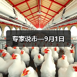 专家说市—9月1日（图3）