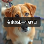 专家说市—9月1日（图2）