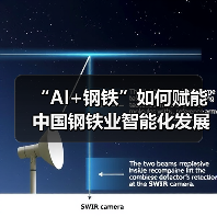 “AI+钢铁”如何赋能中国钢铁业智能化发展？