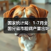 国家统计局：1-7月全国分省市粗钢产量出炉（图4）